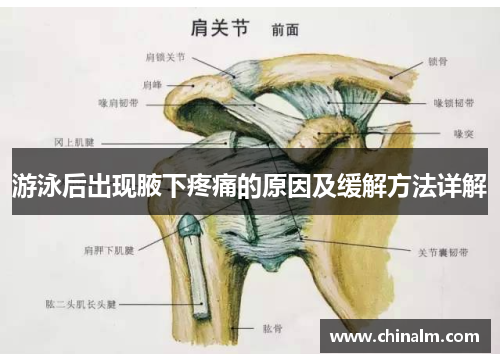 游泳后出现腋下疼痛的原因及缓解方法详解